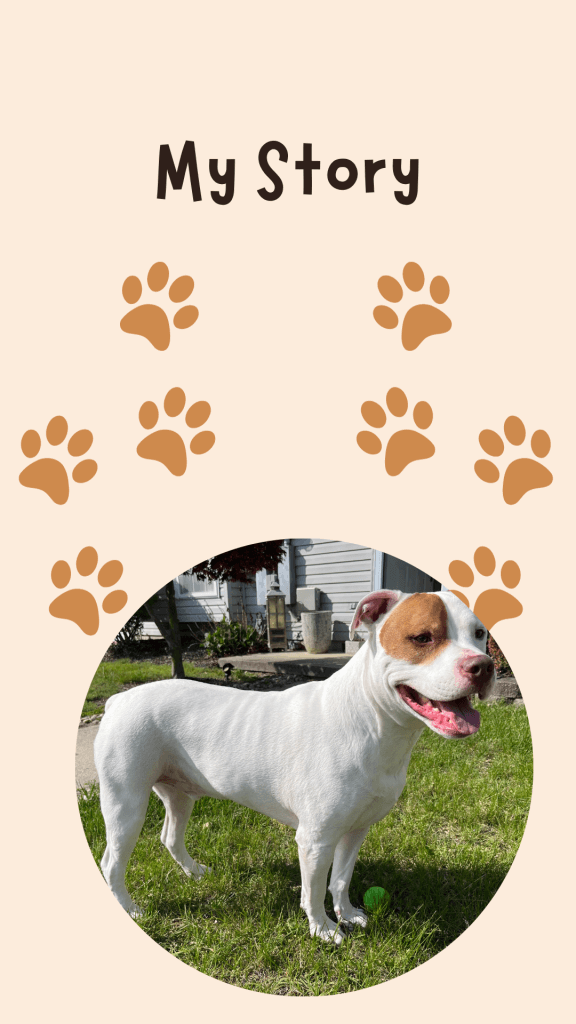 my dog, my story