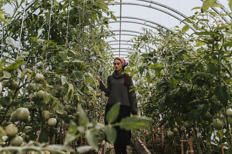 garden