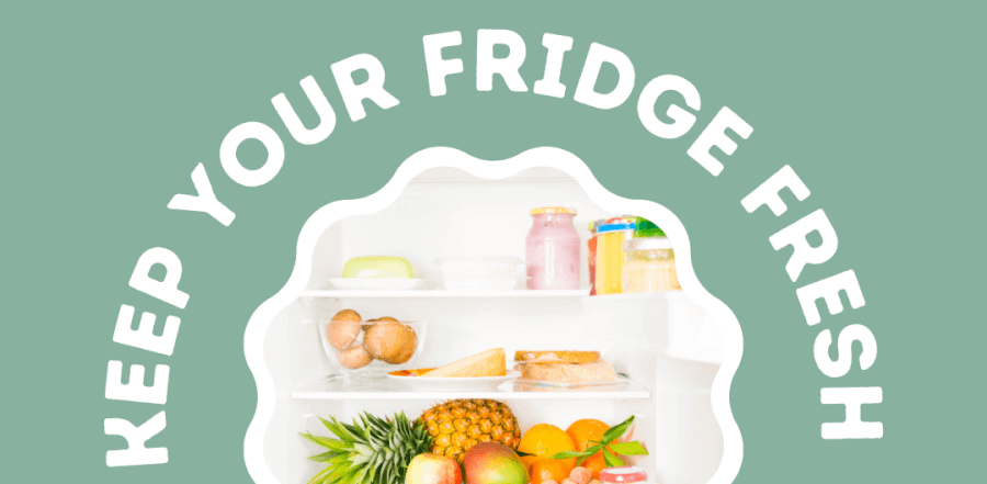 keep your fridge fresh
