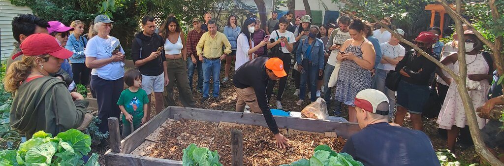 community gardening